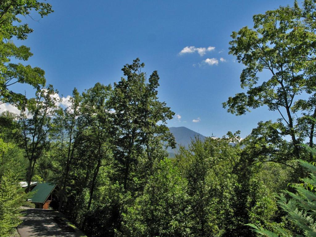 Bear'S Corner, 3 Bedrooms, Wifi, Pool Table, Hot Tub, Wifi, Sleeps 10 Gatlinburg Exterior photo